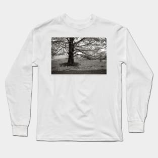 the stately tree, has released its leaves Long Sleeve T-Shirt